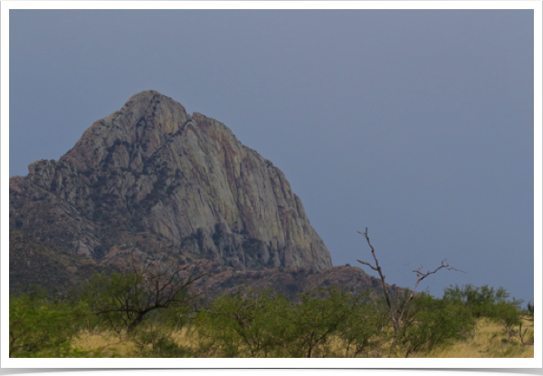 Elephant Head in Santa Rita Mountains